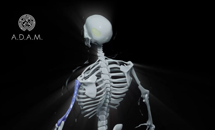 ADAM
